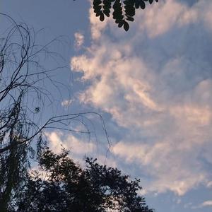 亚洲一区二区三区在线不卡在线观看
