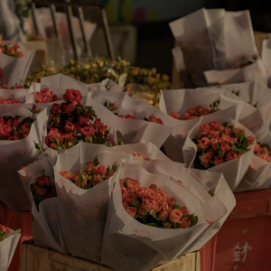 亚洲一区二区三区在线不卡在线观看
