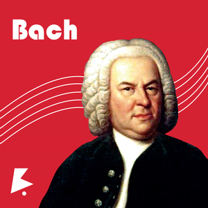 亚洲一区二区三区在线不卡在线观看
